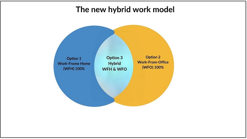 Hybrid Work Model | Pacific Workplaces