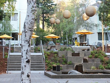 Pacific Workplaces Larkspur Marin Courtyard