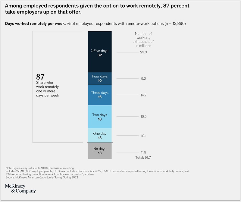 McKinsey Spring 2022 American Opportunity Survey on flexible work